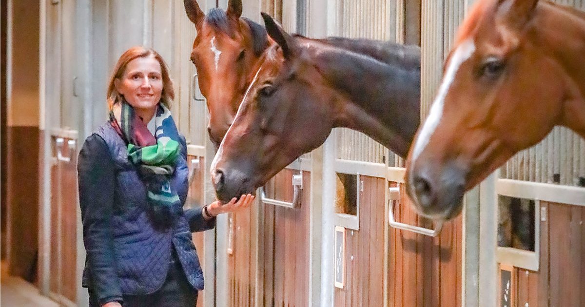 DVO Pegasus Holding lijft European Horse Services in