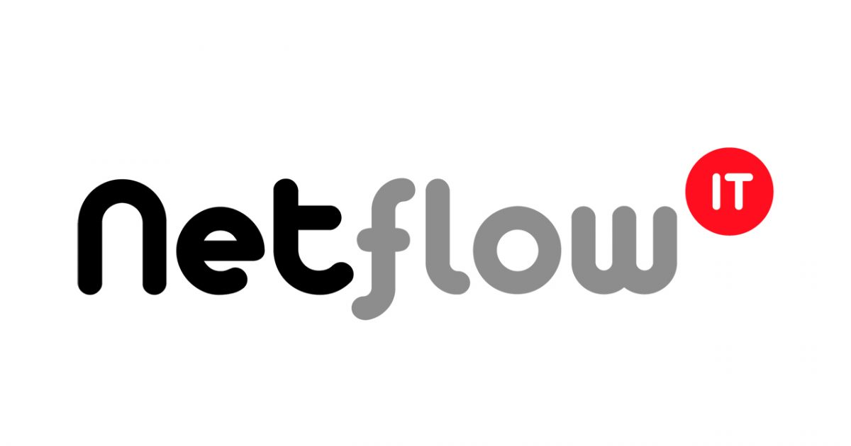 Netflow Format. Logo DVO | ICT-dienstverlener Netflow neemt nu ook controle over ITxx