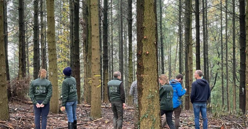 D'Ieteren investeert in Sylva Nova voor veerkrachtigere Europese bossen