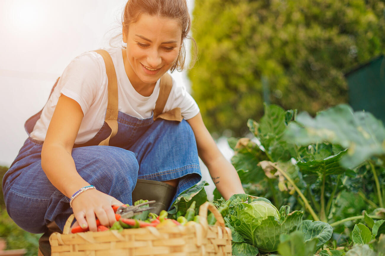 Land- en tuinbouw Voeding SH1836001402