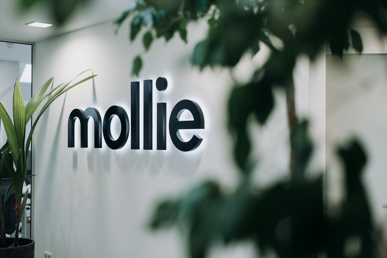 Mollie0812