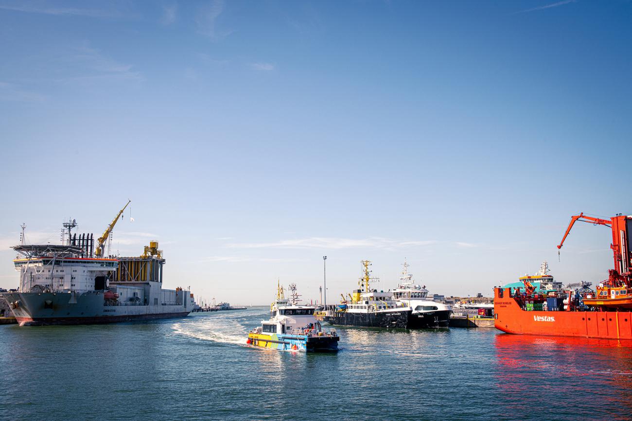 Havenoostendehydrocat1 0808222