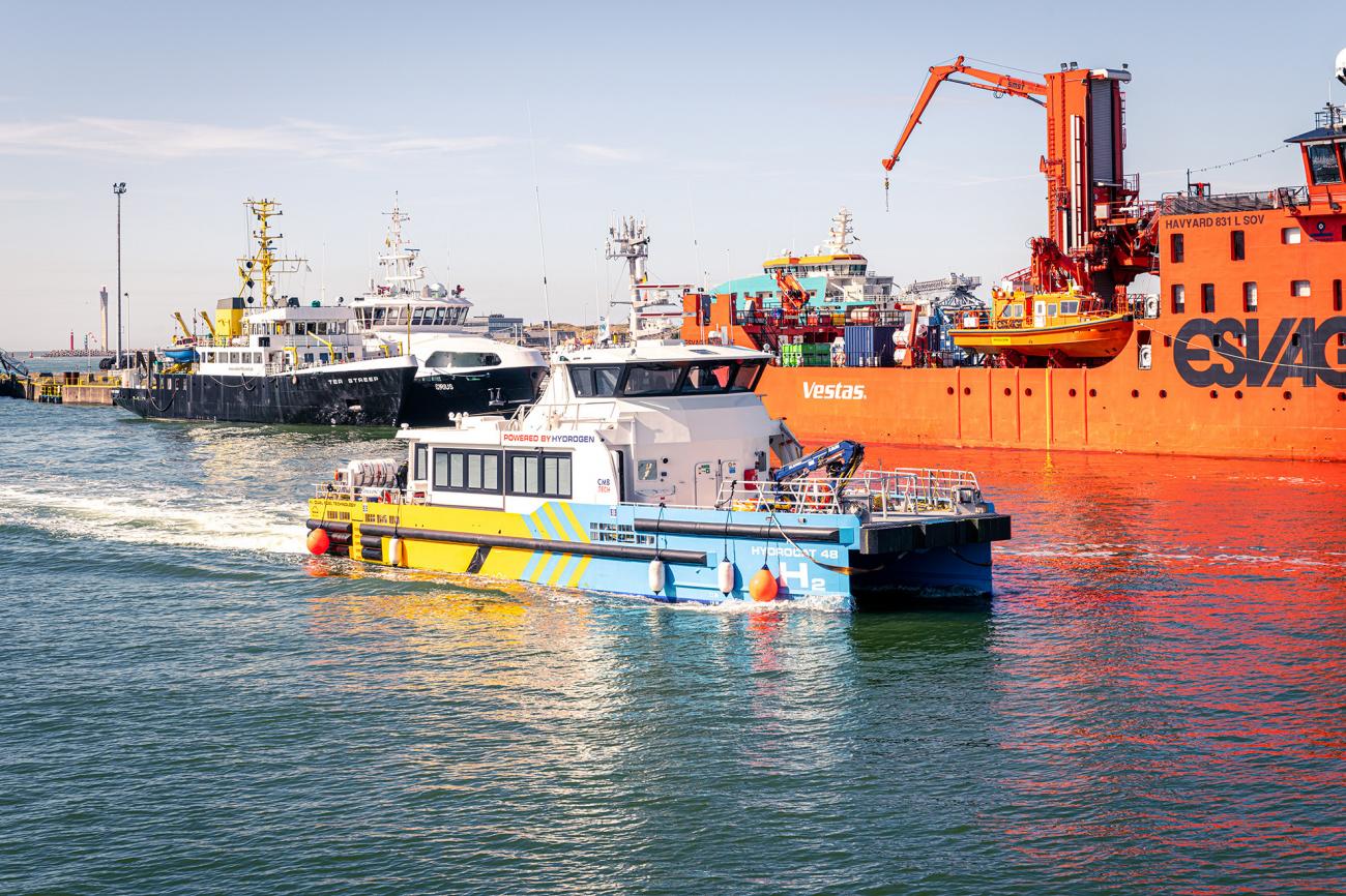 Havenoostendehydrocat2 0808222