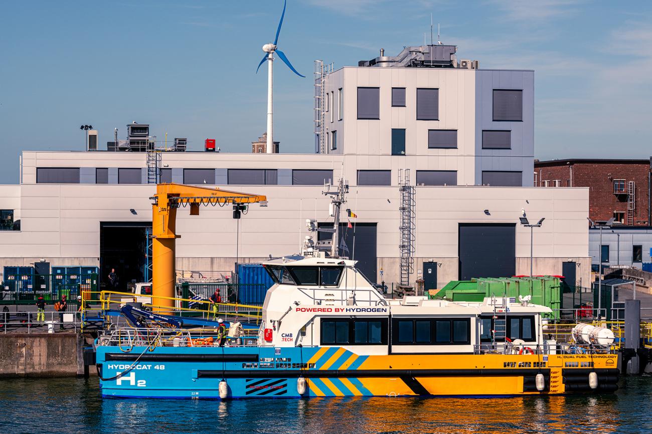 Havenoostendehydrocat3 0808222