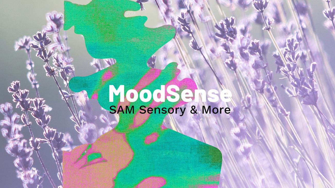 Innovatiesamsensory2 131123