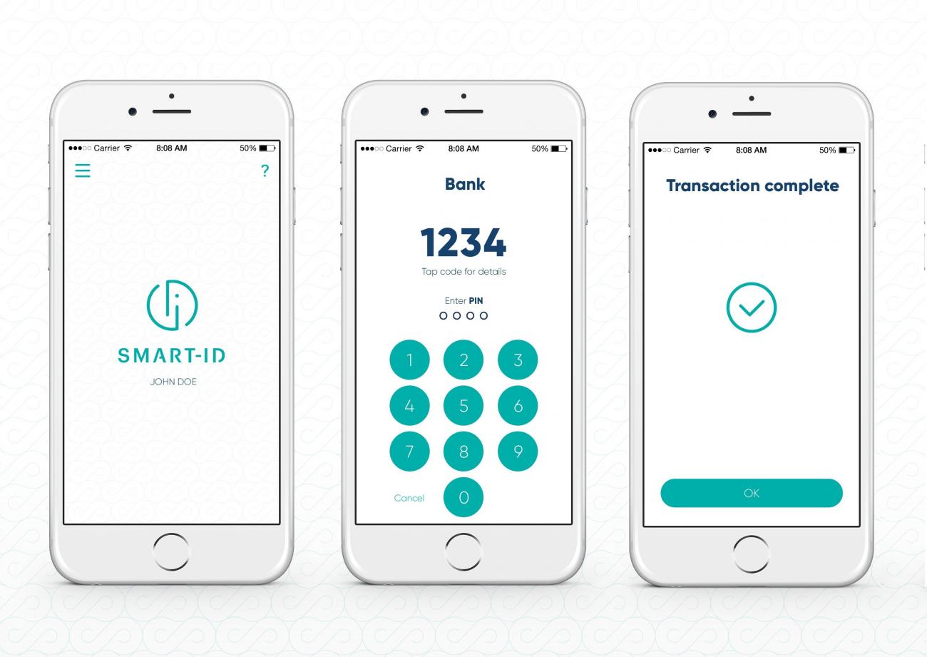 Skidsolutions1020424