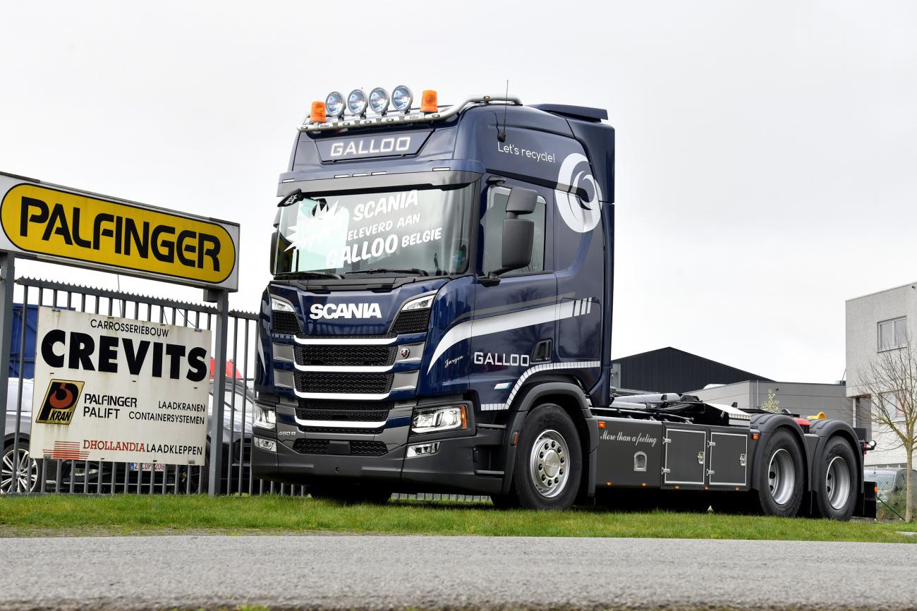 Gallooscania1020424