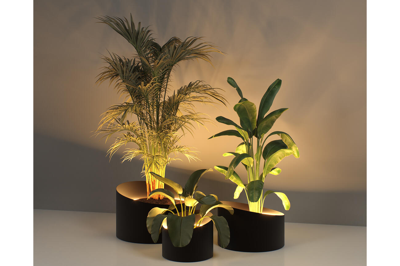 Mazuplantenbakken2 030325