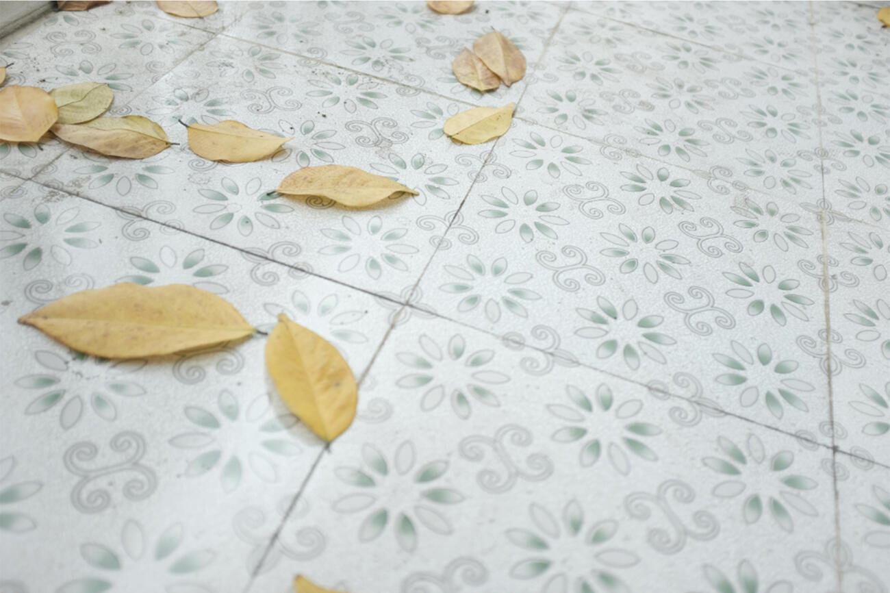 Tegeldragers lequal 150525