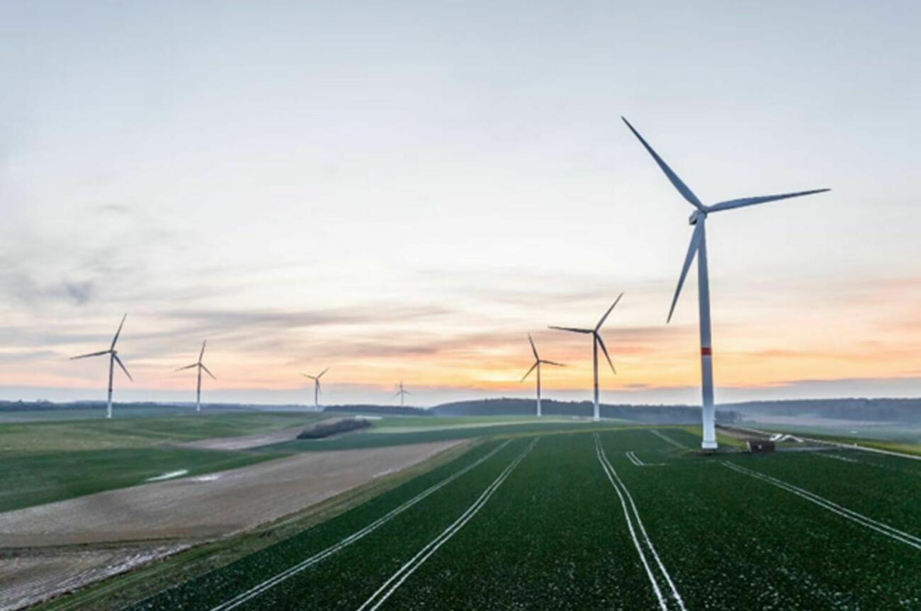 Luminus Google101025