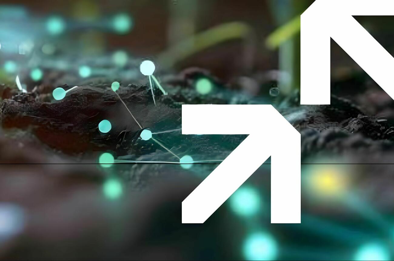 Scale it Agro 311025