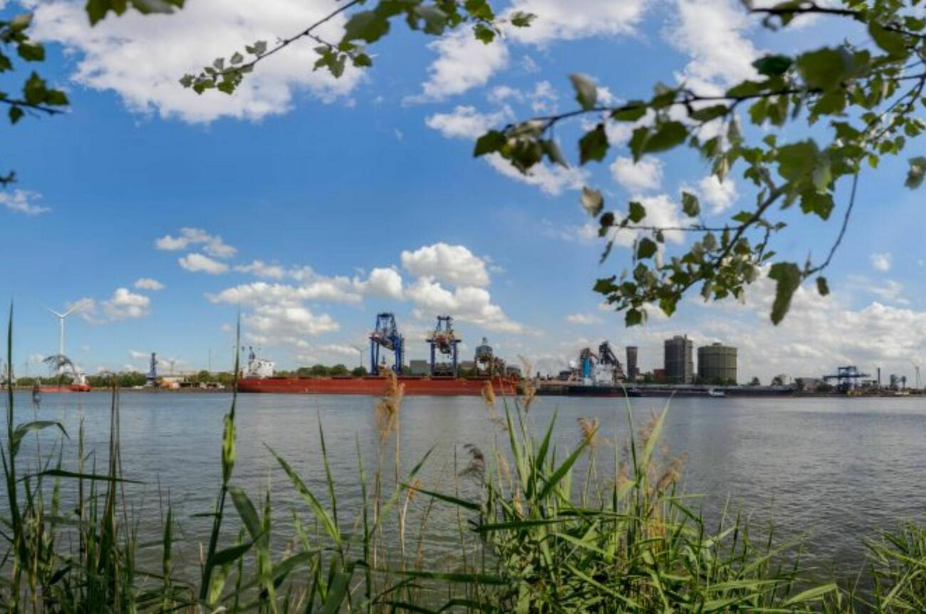 Luminus Solutions 121125