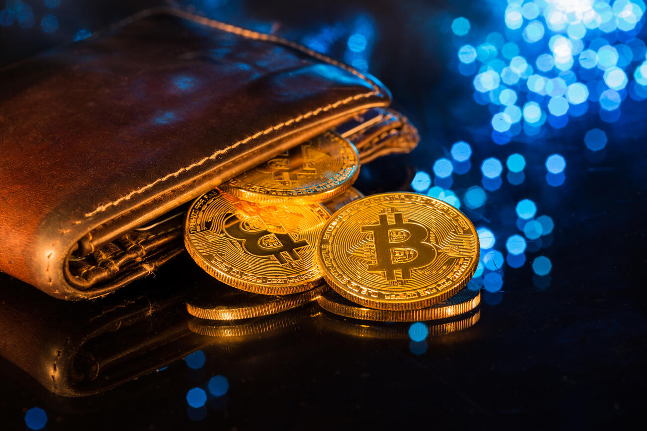 Cryptowallet SH 1065418388