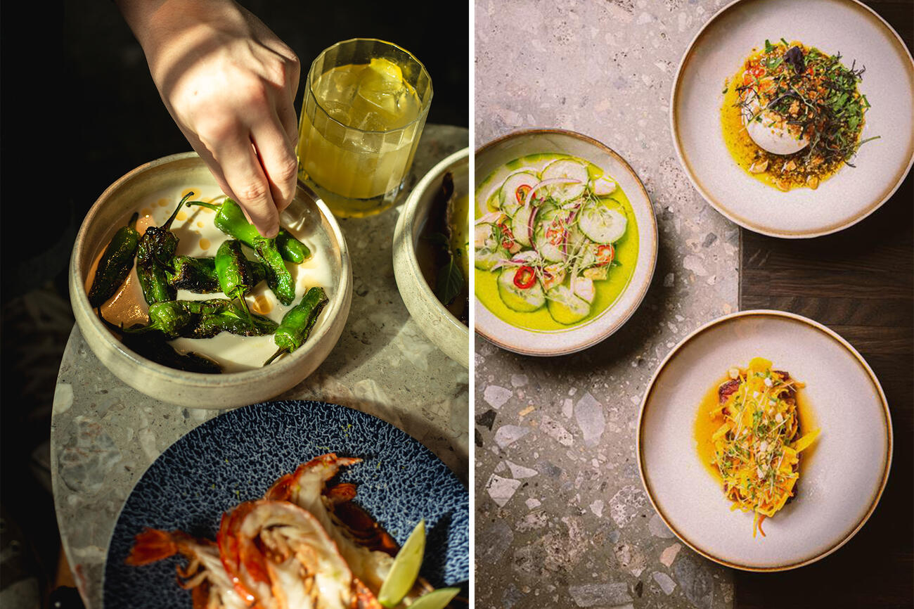 Yalohotelyoungdine2 221125