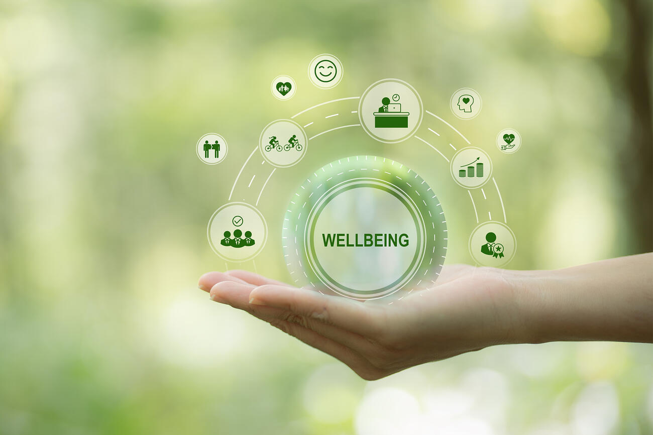 Wellbeing 2468675413