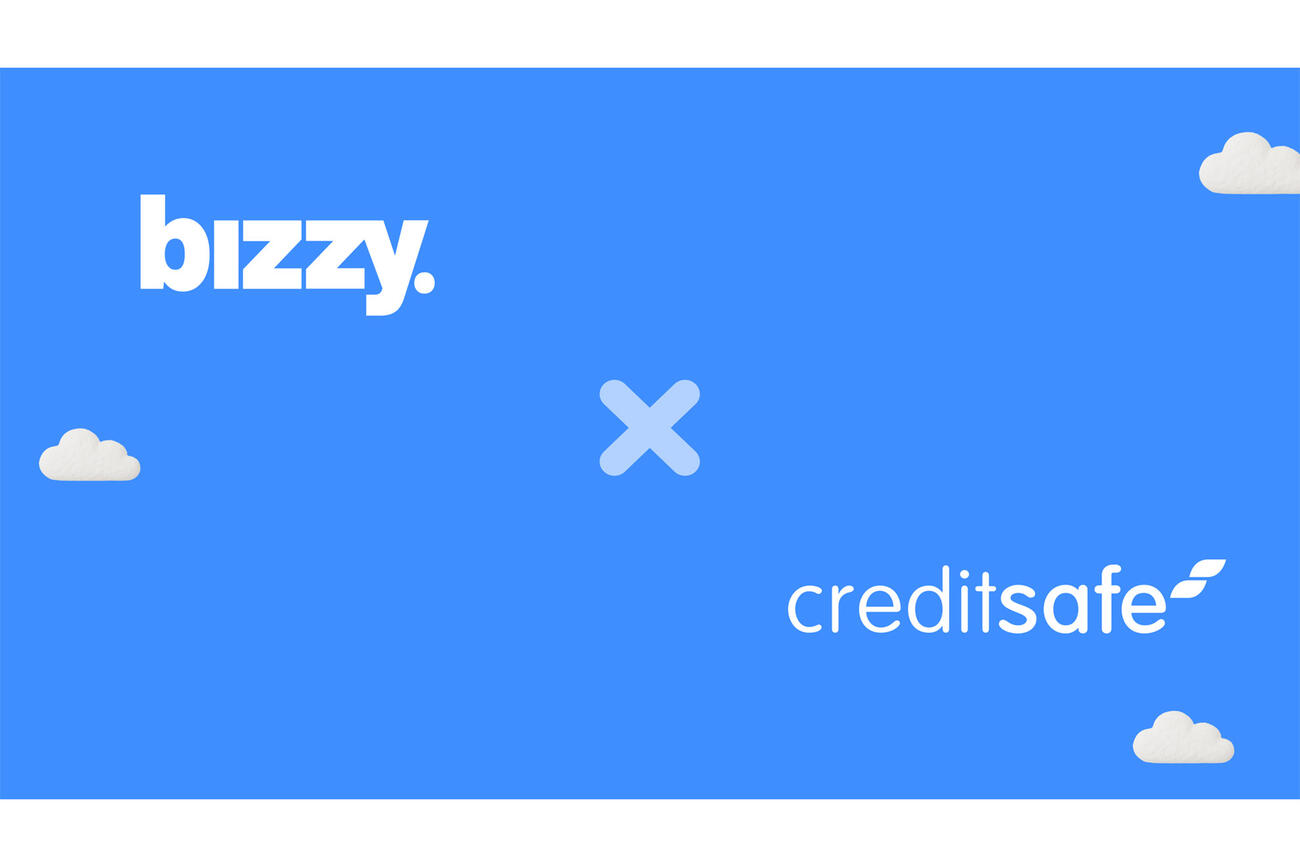 Bizzycreditsafe 241125