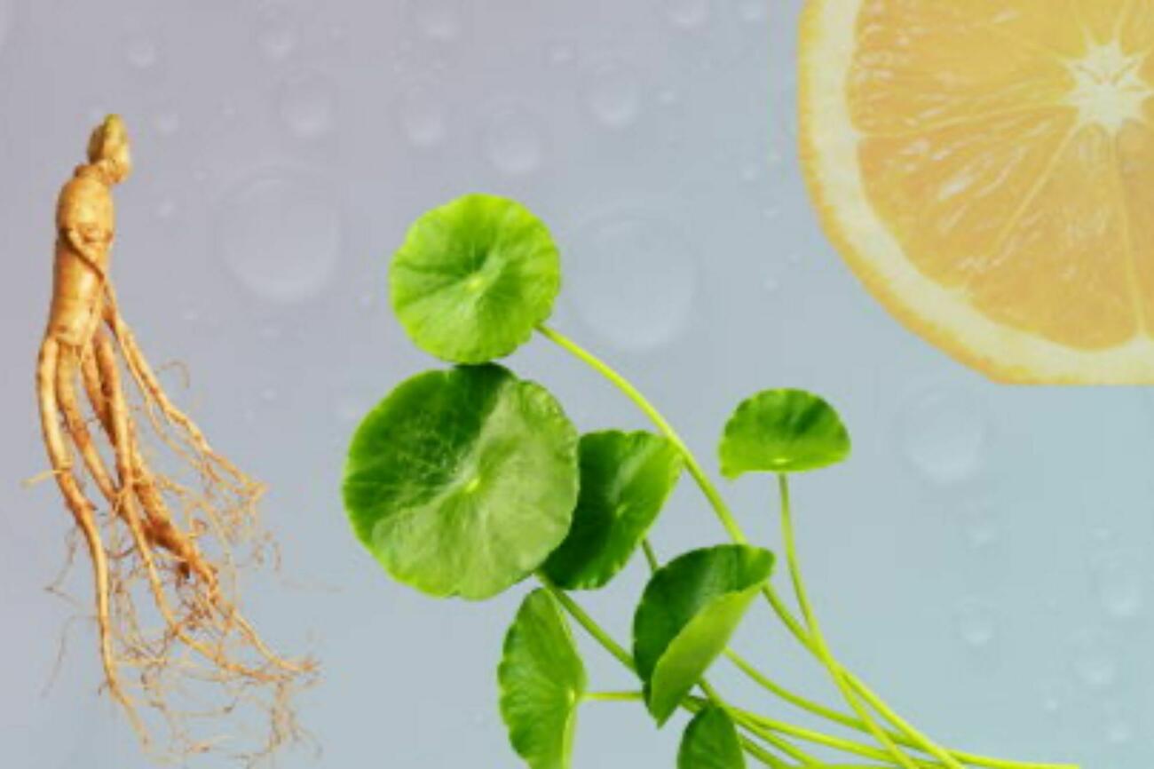 Corpowellinvestering3 031225