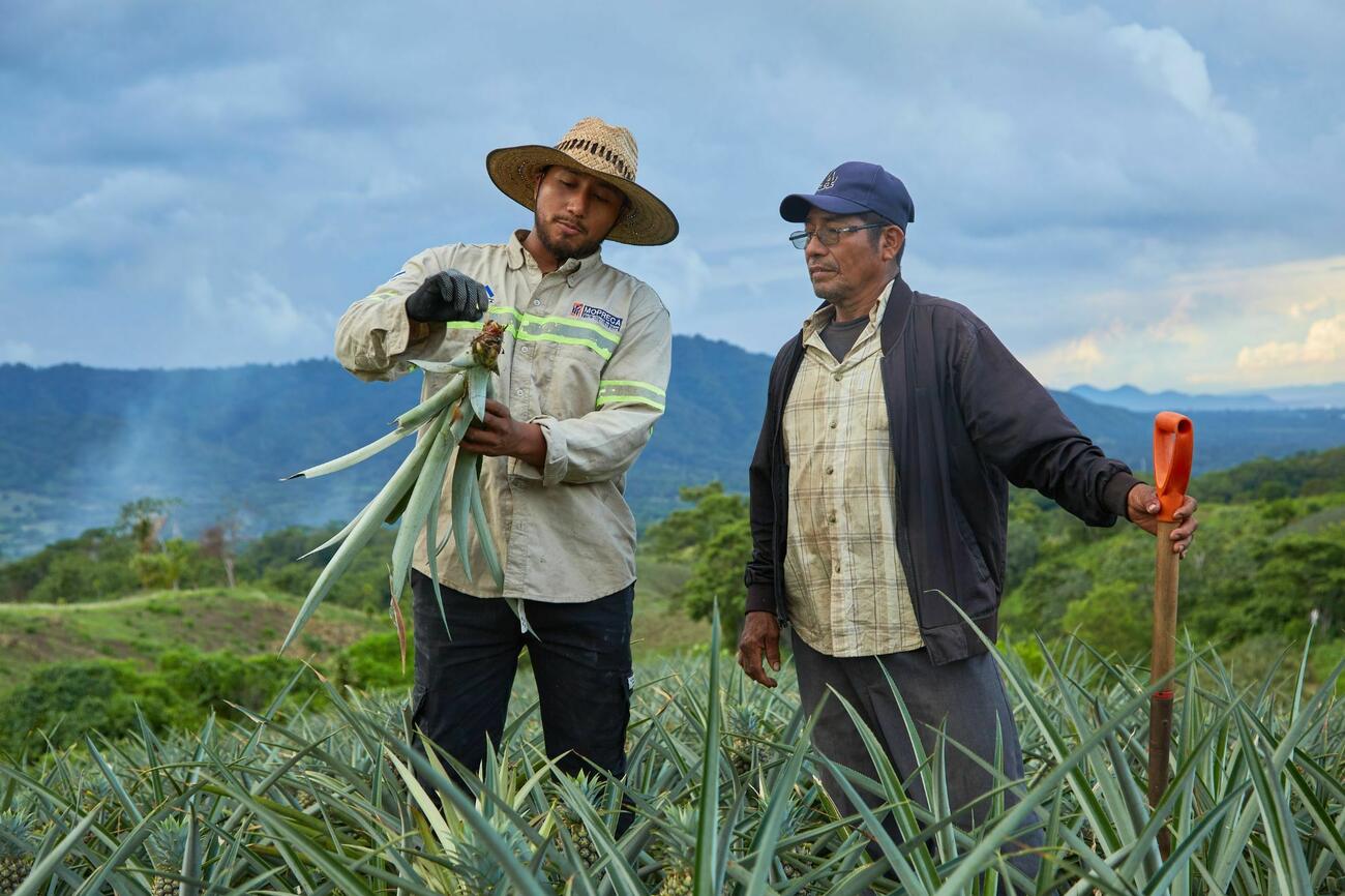 Alterfin FFDL Nicaragua 2025 1