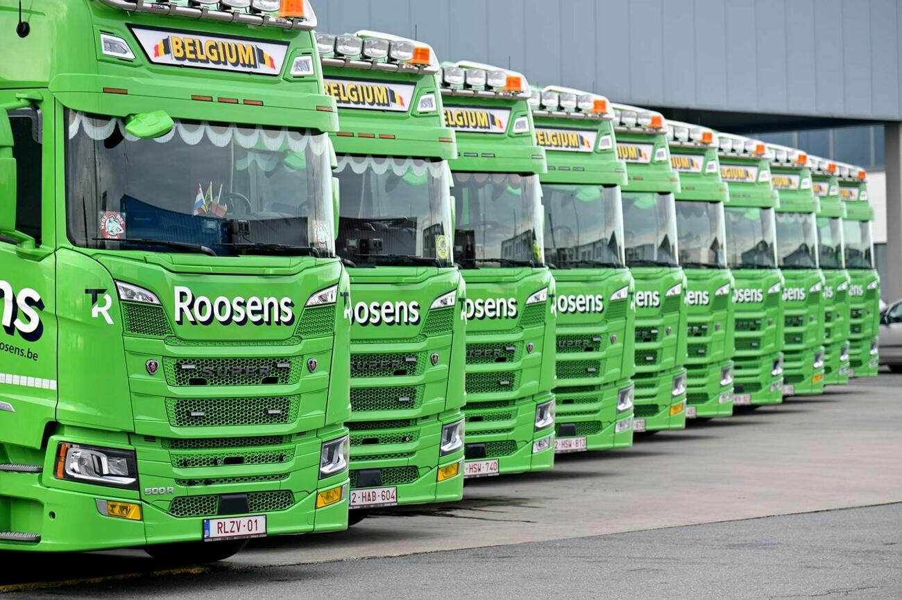 Roosensscania2 080126