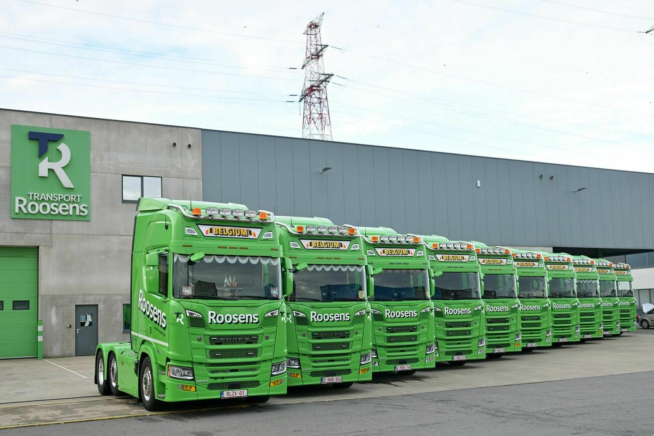 Roosensscania3 080126