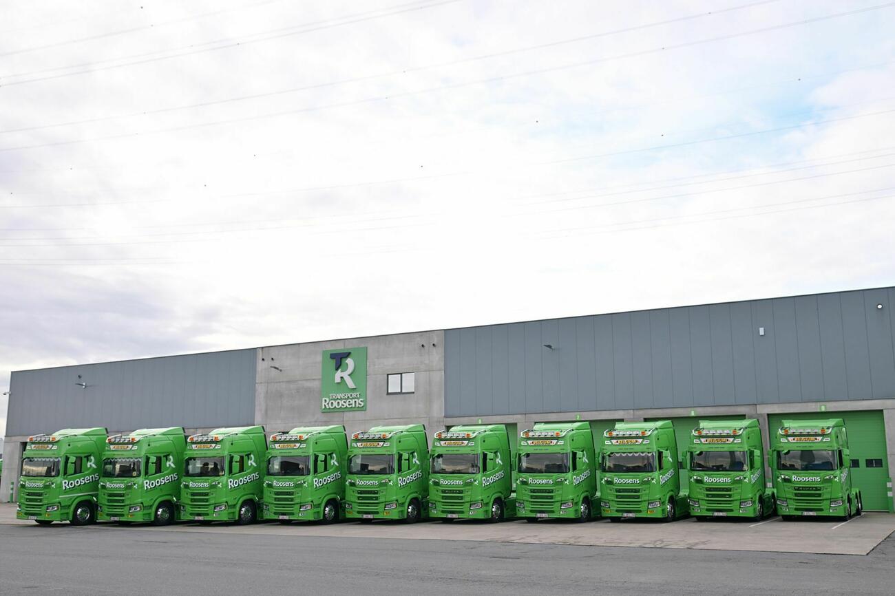 Roosensscania4 080126