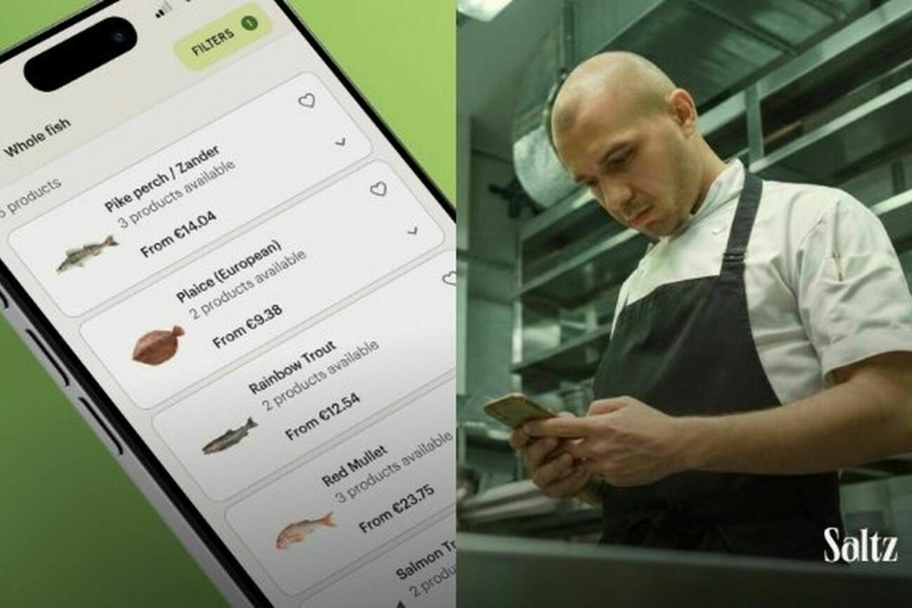 Saltzkapitaalronde 090326