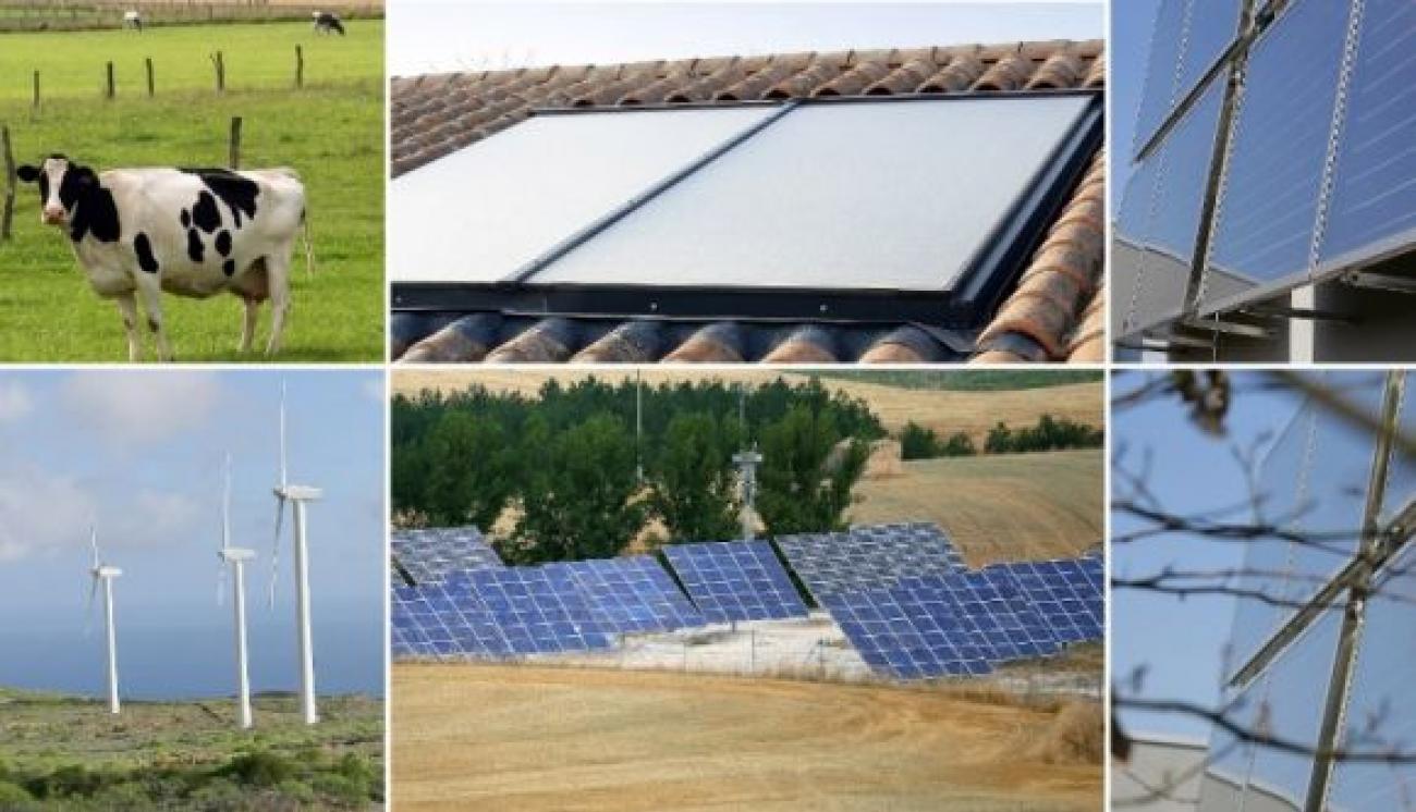 943f221825b95bc095f043ede1655852