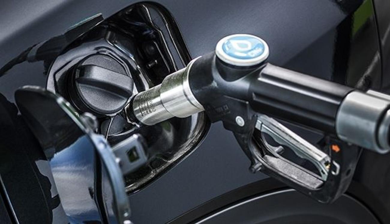 F76508a88c23824cbf37f2084b611bd1