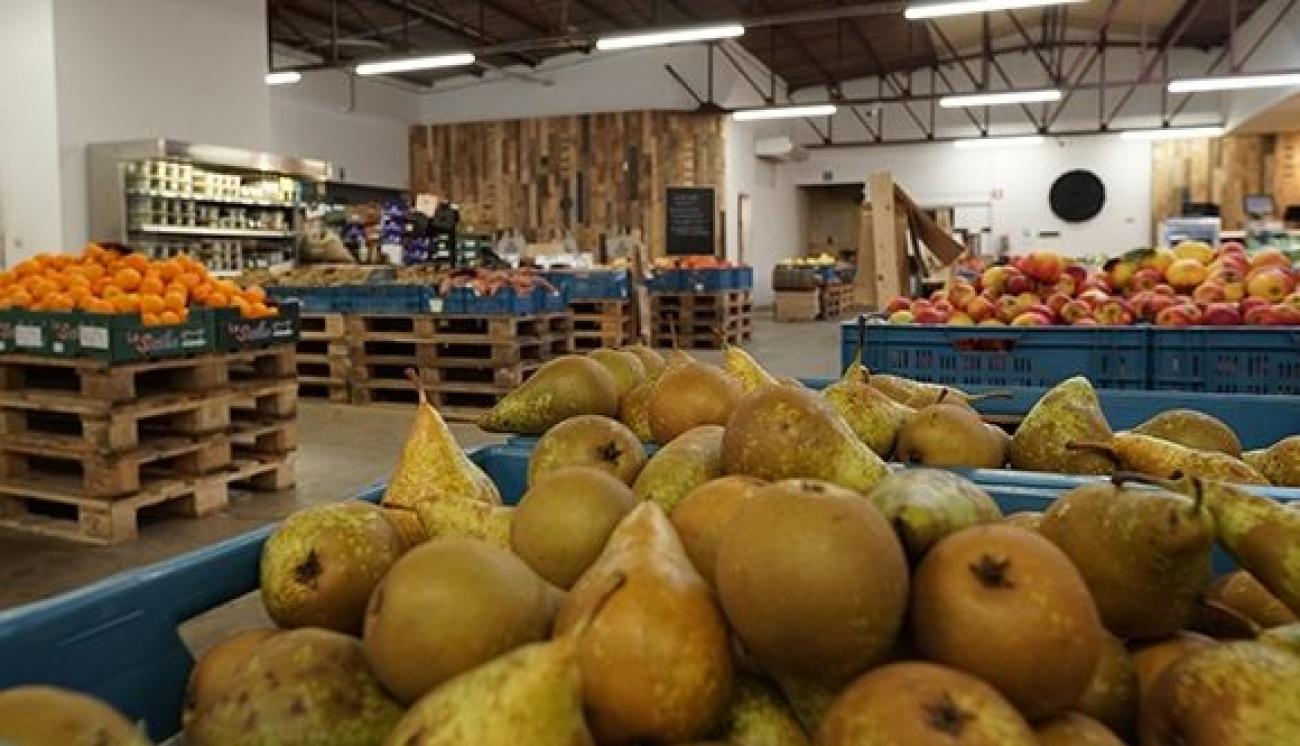 Cbfc68d8926121a9d3361edb70539e53