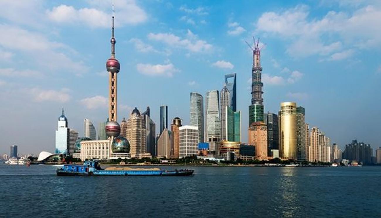 D7f5d1c5ee16ffc193096640a63835a3