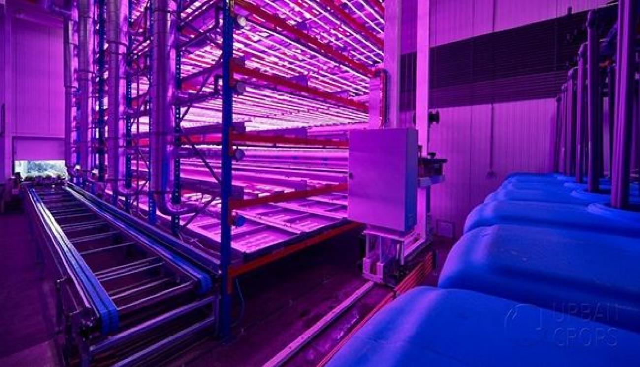 283f3524503140920d749fb8a6a74345