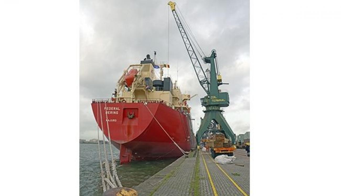 0153628eae5873fecc15794f6b00b0c8