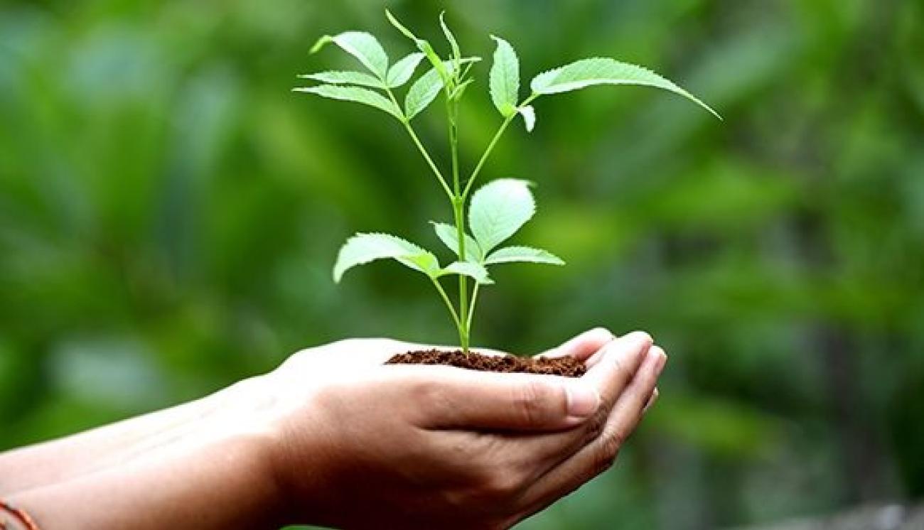 491fec9ceeaa6a201538f87ebab0c2c3