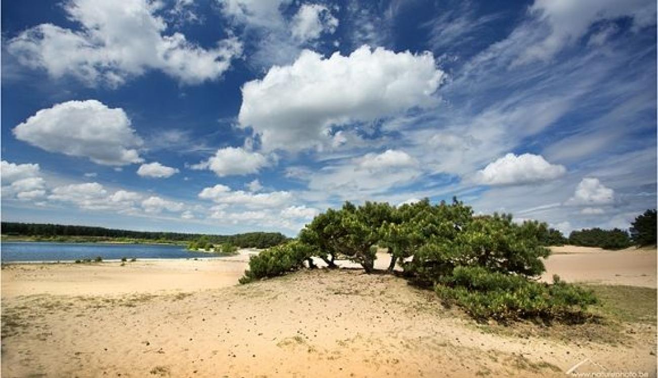 4e881215bebd3d5bb535e1f411fecd13