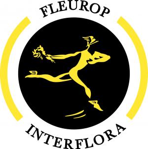 1293194996 Interflora logo
